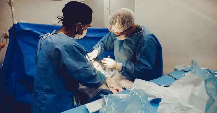 Pexels Vidalbalielojrfotografia 3376799