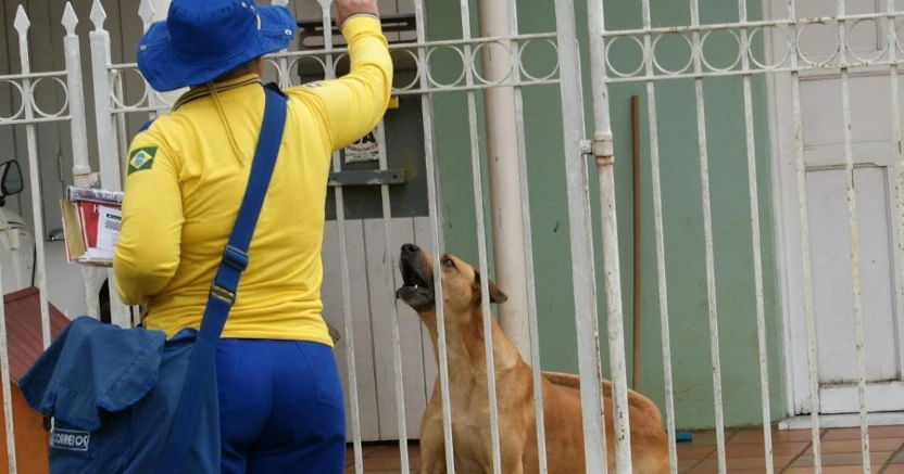 Correios lançam campanha para evitar ataques de cães a carteiros