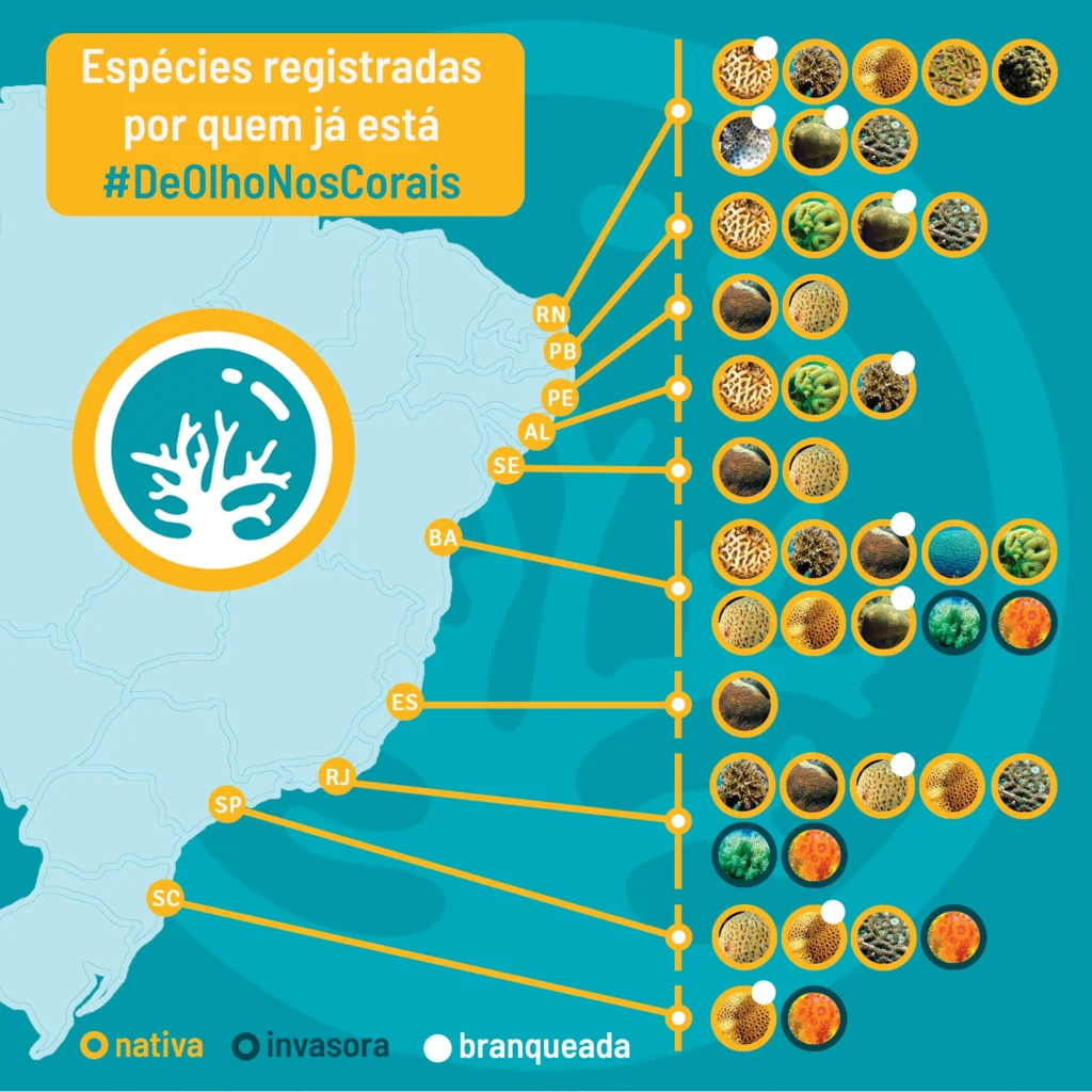 Figura 6 DeOlhoNosCorais Mapa espécies