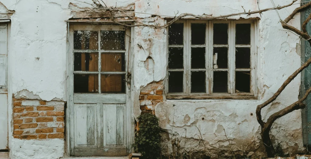 Pexels sami aksu 48867324