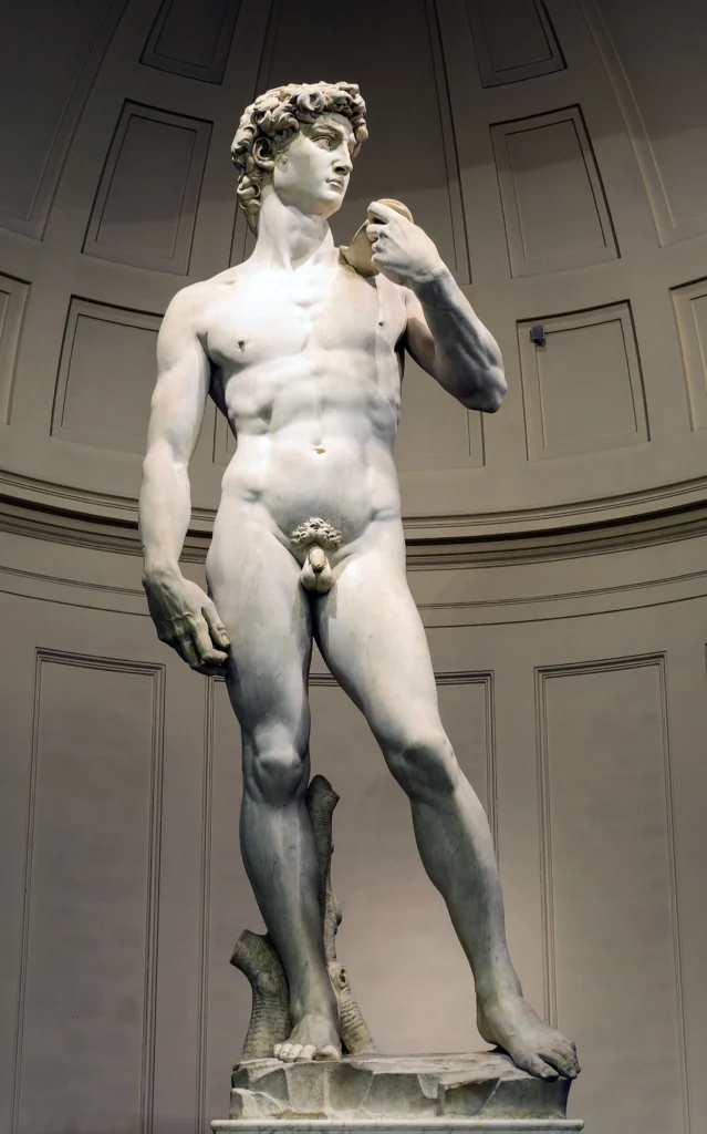 Michelangelo's David